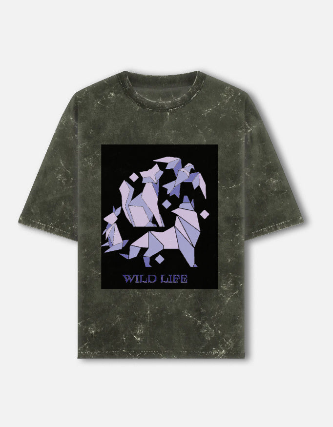 Front_1_c_41.jpg